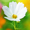 <a href='/e/space/?userid=964' target='_blank'>ladengdi2</a>